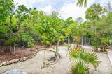 28212 Gato Road - Photo 19