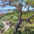 1W & 2W Cooks Island - Photo 11