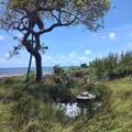1W & 2W Cooks Island - Photo 25