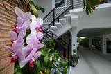 358 Stirrup Key Boulevard - Photo 3