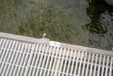 104350 Overseas Highway - Photo 71