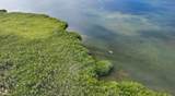  Main Key, Barnes Sound - Photo 24