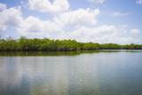  Main Key, Barnes Sound - Photo 33