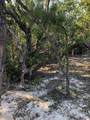  Main Key, Barnes Sound - Photo 46