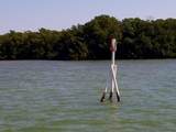  Main Key, Barnes Sound - Photo 59