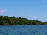  Main Key, Barnes Sound - Photo 60