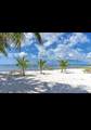 65821 Overseas Highway - Photo 4