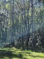 402 Smokehouse Lake Road - Photo 15