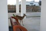 1553 Sunrise Drive - Photo 108