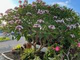 55 Boca Chica Road - Photo 1