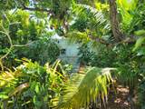 9 Hilton Haven Road - Photo 12