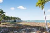 6 Palmetto Drive - Photo 10