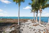 6 Palmetto Drive - Photo 35