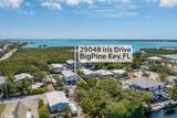 29048 Iris Drive - Photo 47