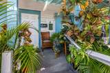 209 Olivia Street - Photo 8