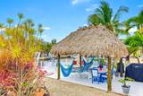 29534 Geraldine Street - Photo 12