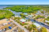 29534 Geraldine Street - Photo 6
