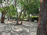 325 Calusa Street - Photo 17