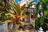 1319 Newton Street - Photo 84