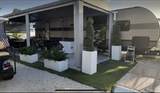 325 Calusa Street - Photo 1