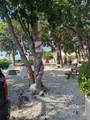 325 Calusa Street - Photo 26