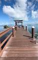 106 Mangrove Avenue - Photo 14