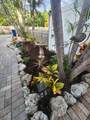 331 Ave F - Photo 34