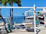 325 Calusa Street - Photo 8