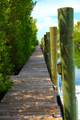2950 Overseas Highway - Photo 51