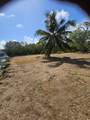 30860 Malaga Lane - Photo 12