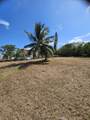 30860 Malaga Lane - Photo 16