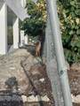 251 Pelican Lane - Photo 18