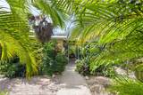 29284 Coconut Palm Drive - Photo 18