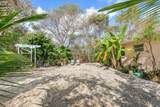 29284 Coconut Palm Drive - Photo 24