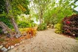 30985 Hibiscus Drive - Photo 40