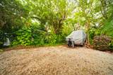 30985 Hibiscus Drive - Photo 43