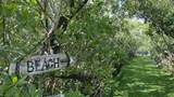 813 2nd Street - Photo 2