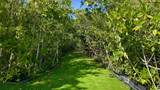 813 2nd Street - Photo 3