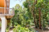 377 Guava Avenue - Photo 15