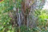 377 Guava Avenue - Photo 30