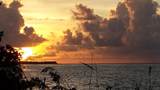 1235 83rd Street Ocean Street - Photo 13