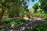 19 Avacado Street - Photo 125