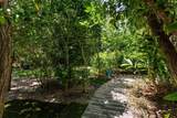 19 Avacado Street - Photo 57