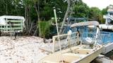 956 Shaw Drive - Photo 7