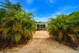 30354 Palm Drive - Photo 4