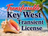 1 Transient Licence - Photo 1