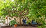 30 Calle Uno - Photo 22