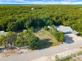 23 Palm Drive - Photo 16