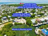 207 Hibiscus Street - Photo 2