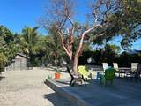 18 Drury Drive - Photo 21